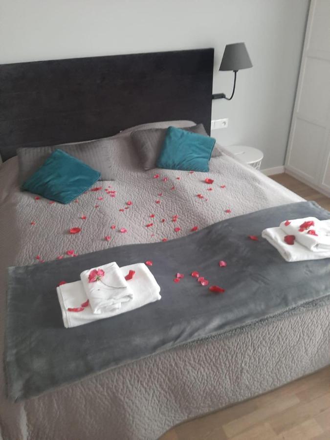 Apartamenty Koci Ogon Stary Toruń Exteriör bild