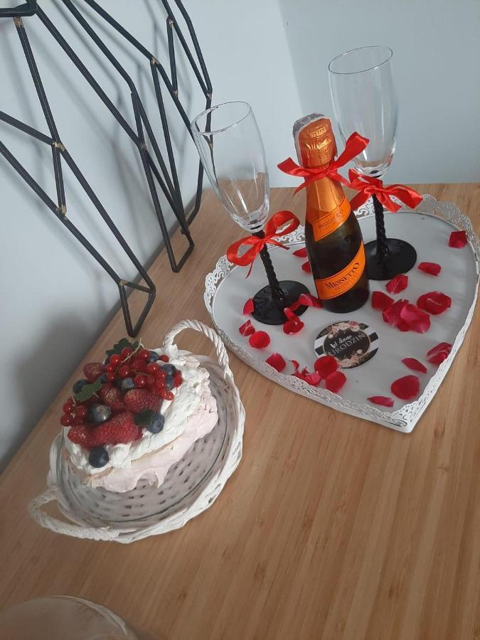 Apartamenty Koci Ogon Stary Toruń Exteriör bild