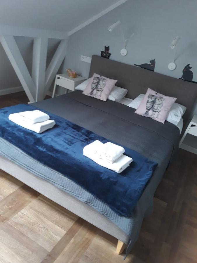 Apartamenty Koci Ogon Stary Toruń Exteriör bild