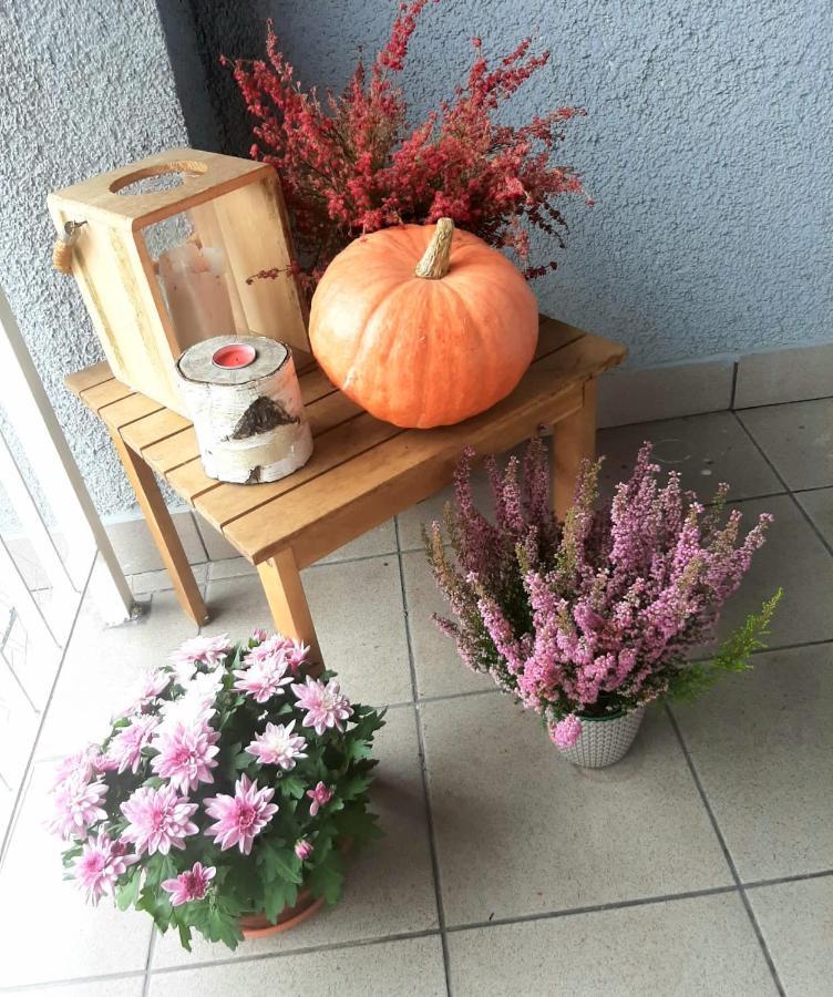 Apartamenty Koci Ogon Stary Toruń Exteriör bild