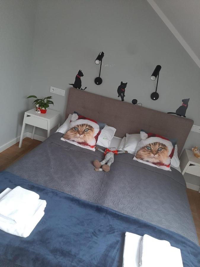 Apartamenty Koci Ogon Stary Toruń Exteriör bild