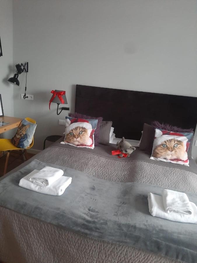 Apartamenty Koci Ogon Stary Toruń Exteriör bild